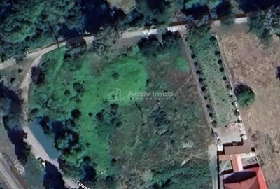 Caransebes, Teren INTRAVILAN, 3150 Mp., Zona Teius - 2