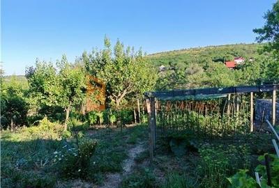 EXCLUSIVITATE! Casa+teren si cabana de lemn zona Naeni - 24