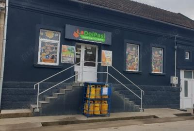 Vand casa in Ciclova Romana - 10