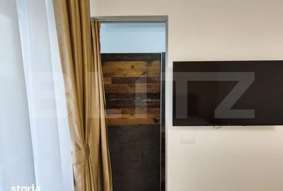 Apartament cu 2 camere, mobilat în Nufărul - 3