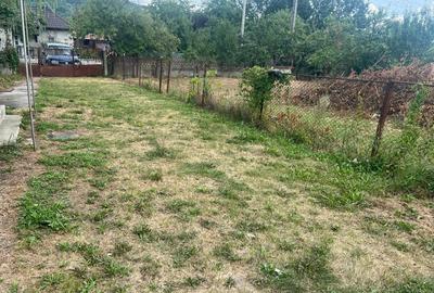 Casă cu 3 camere în Copăceni - 5