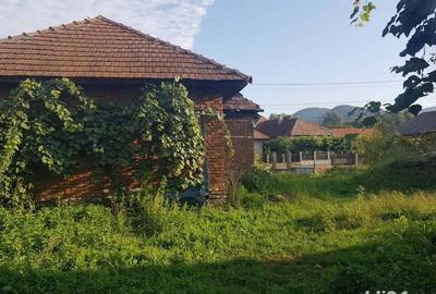 Vand casa, teren agricol si padure in Cheud - 4