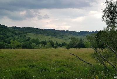 Teren de 3013 mp, în Valea - 3