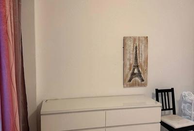 Apartament cu 2 camere semidecomandat în Dobroești - 4
