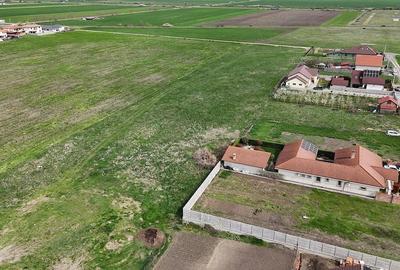 Teren de 12500 mp, în Livada - 3