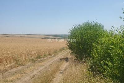 50 Ha comasat 100%, 30 km de Constanța