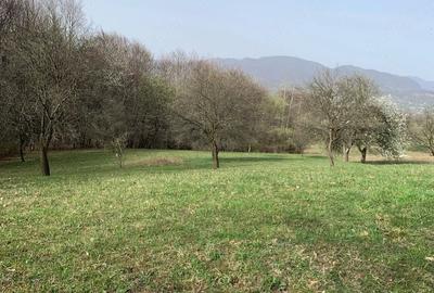 Teren de 6000 mp, în Cetățele