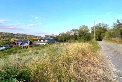 Teren de vânzare Cisnădioara – 2 parcele a câte 1.250 mp, utilități pe teren - 6