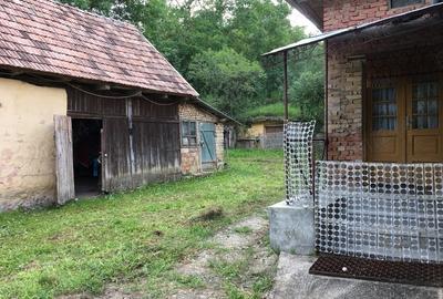Casă cu 3 camere cu Teren 2913 Mp în Măhăceni - 3