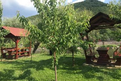 Disponibila de REVELION cabana complet echipat #259; de #238;nchiriat #238;n Muntii Calimani - 2