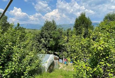 Avem un "Colt de rai" la Vanzare Avem un "Colt de rai" la Vanzare - 9