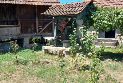 Casă cu 2 camere în Văgiulești - 7