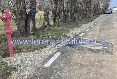 Teren Balotesti,vecinatate Dn1 Bucuresti Ploiesti,utilitati 600mp - 12