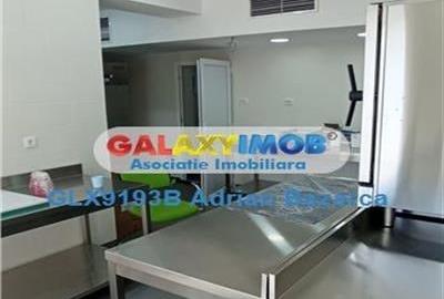 Spatiu comercial parter de vila, zona Doamna Ghica-Pod - 3