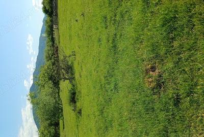 Teren de 400 mp, în Central - 3