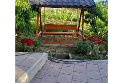 Casă rurală modernizată + 2329 mp teren, livadă și solar în Lipnița - 2