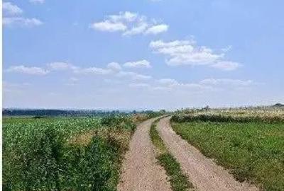 Teren extravilan Bosanci, ID: R2649420 - 5