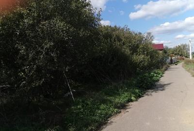 Teren intravilan com.Dascalu Ilfov - 2