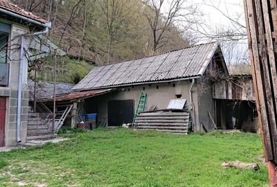 Casa si 3919 mp teren intravilan  in  Bucuresci, jud. Hunedoara - 8