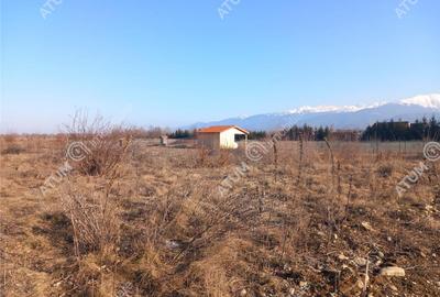 Teren intravilan 7900 mp de pe Valea Avrigului - 1