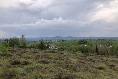 Teren de 1000 mp, în Măguri - 3