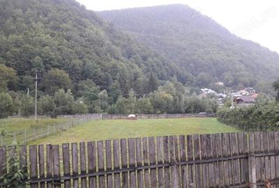 Teren de 1000 mp, în Central - 8