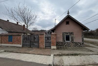 Casă individuală cu 2 camere cu Canalizare în Mihai Viteazu - 4