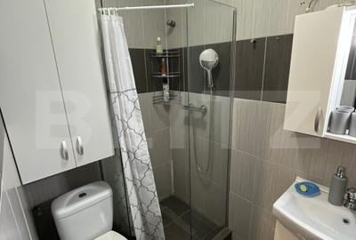 Apartament de vanzare, cu 3 camere, 56 mp, zona Pantelimon, Parcul Florilor - 5