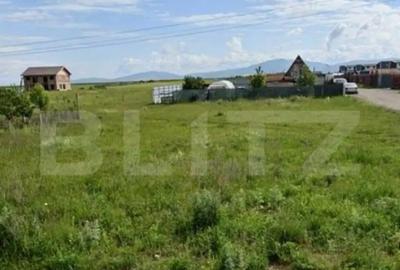 Teren de 500 mp, în Tărlungeni - 1