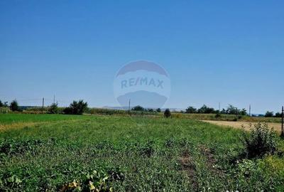 Casă cu 7 camere cu Garaj în Zănești - 13