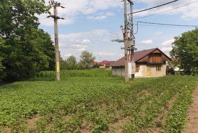 Casă cu 3 camere cu Teren 3600 Mp în Fântâna Mare - 1