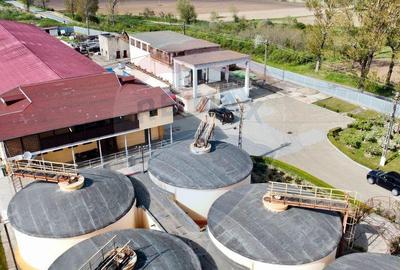 Crama din Buciumeni Afacere la cheie - 6