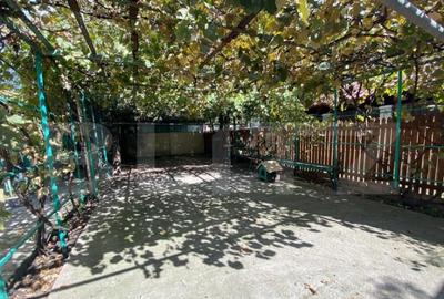 Casă cu 3 camere cu Teren 510 Mp în Dorobanțul - 1