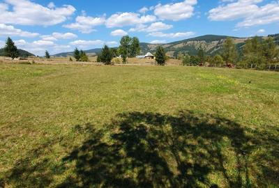 Teren extravilan de 6923 mp, în Arieșeni - 2