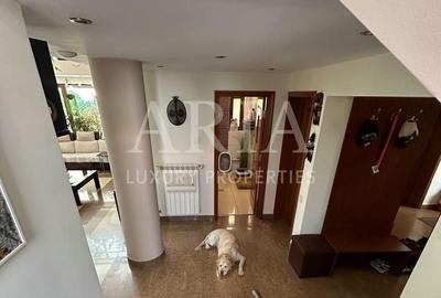 Vila individuala Erou Iancu Nicolae - 7