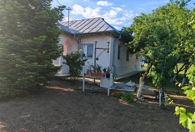 Casă cu 3 camere cu Teren 3000 Mp în Central - 19