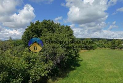 Teren intravilan de vanzare Unghi- jud. Neamt - 9