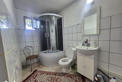 Casă cu 3 camere cu Teren 4820 Mp în Telești - 1