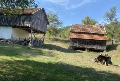 Casă cu 2 camere cu Teren 30000 Mp în Sichevița - 1