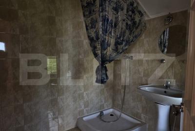 Casa cu piscina ,7 camere, 447 mp - teren 1535mp, Vetis - 11