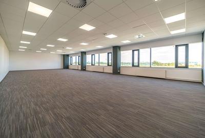 Subinchiriere - Parc logistic Chitila Sos. de Centura NV - 3