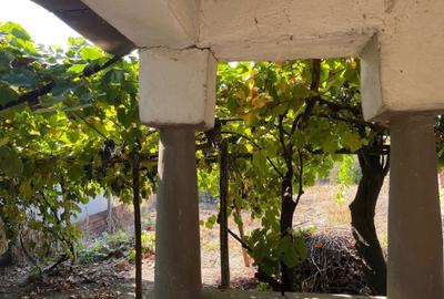 Casă cu 4 camere în Rogova - 2