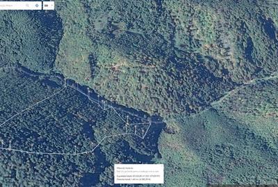 Teren de 85000 mp, în Dobra - 2
