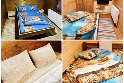 Casă cu 4 camere în Andreneasa - 4