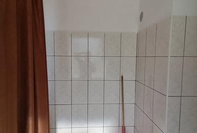 Apartament cu 2 camere decomandat, mobilat în Cartierul Traian - 13