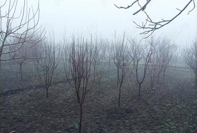 Casă cu 4 camere cu Teren 1300 Mp în Ceptura - 2