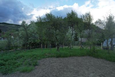 Vand casa cu 5 cam.in com.Neaua sat GHINESTI. - 5