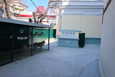 Casă individuală cu 4 camere cu Canalizare în Ultracentral - 10