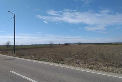 Teren de 5259 mp, în Dărăști-Ilfov - 1