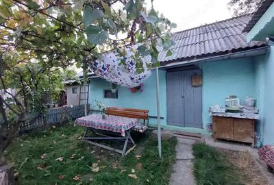 Casa batraneasca bine intretinuta in Bahna - 8